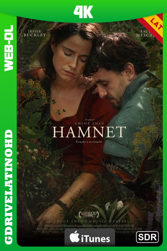 Hamnet (2025) WEB-DL 4K SDR Latino-Inglés